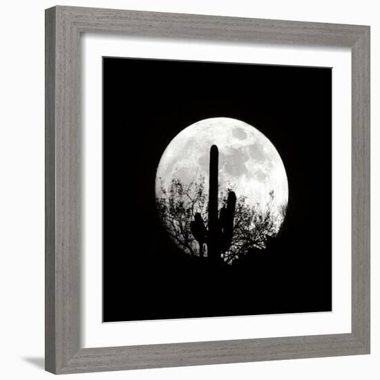 Moonrise in May II-Douglas Taylor-Framed Photographic Print