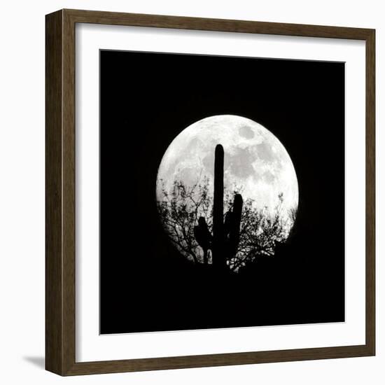 Moonrise in May II-Douglas Taylor-Framed Photographic Print