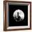 Moonrise in May II-Douglas Taylor-Framed Photographic Print