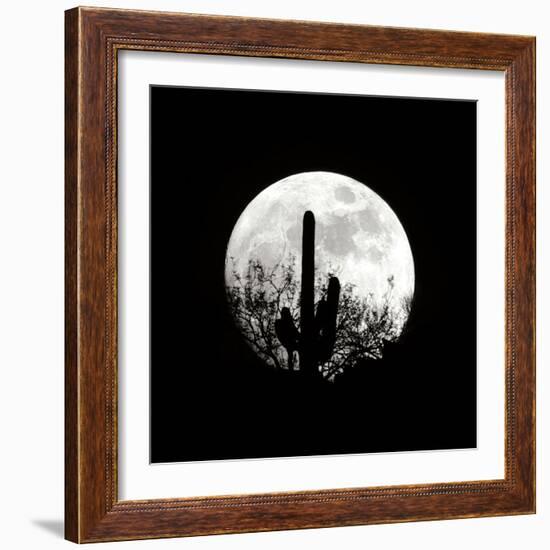 Moonrise in May II-Douglas Taylor-Framed Photographic Print