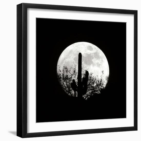Moonrise in May II-Douglas Taylor-Framed Photographic Print