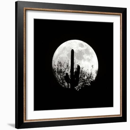 Moonrise in May II-Douglas Taylor-Framed Photographic Print