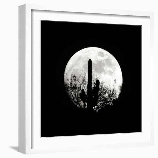 Moonrise in May II-Douglas Taylor-Framed Photographic Print