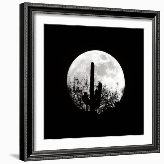 Moonrise in May II-Douglas Taylor-Framed Photographic Print