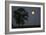 Moonrise Lone Tree-Robert Goldwitz-Framed Photographic Print