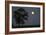 Moonrise Lone Tree-Robert Goldwitz-Framed Photographic Print