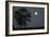 Moonrise Lone Tree-Robert Goldwitz-Framed Photographic Print