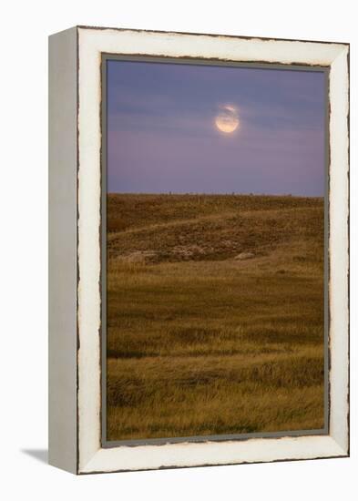 Moonrise Over Badlands South Dakota-Steve Gadomski-Framed Premier Image Canvas