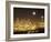 Moonrise over Nighttime Seattle, Washington, Usa-Janis Miglavs-Framed Photographic Print