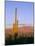 Moonrise Over Saguaro Cactus and Ajo Mountains, Organ Pipe National Monument, Arizona, USA-Scott T. Smith-Mounted Photographic Print