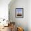 Moonrise Over Saguaro Cactus and Ajo Mountains, Organ Pipe National Monument, Arizona, USA-Scott T. Smith-Framed Photographic Print displayed on a wall