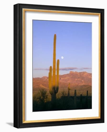 Moonrise Over Saguaro Cactus and Ajo Mountains, Organ Pipe National Monument, Arizona, USA-Scott T. Smith-Framed Photographic Print