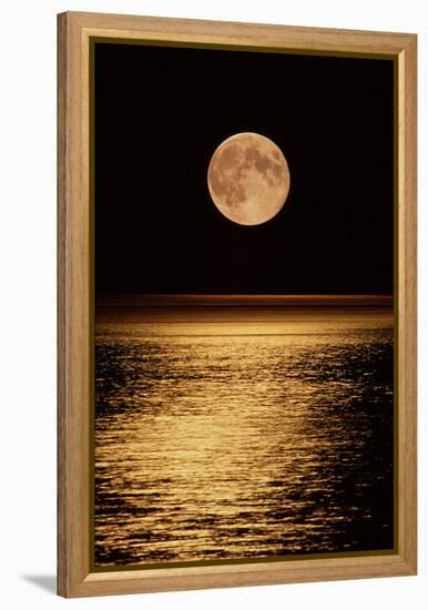 Moonrise-David Nunuk-Framed Premier Image Canvas