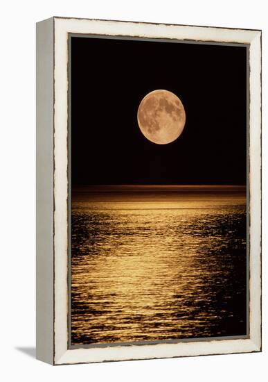 Moonrise-David Nunuk-Framed Premier Image Canvas