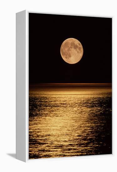 Moonrise-David Nunuk-Framed Premier Image Canvas