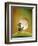 Moonrise-Cindy Thornton-Framed Giclee Print