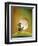 Moonrise-Cindy Thornton-Framed Giclee Print