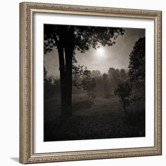 Moonscape Trees-Pete Kelly-Framed Giclee Print