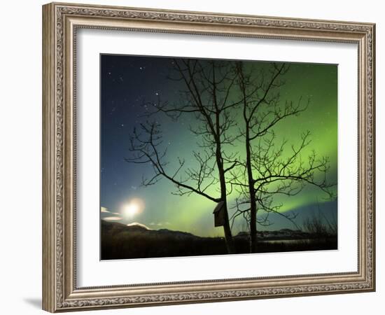 Moonset And the Northern Lights, Yukon, Canada-Stocktrek Images-Framed Photographic Print