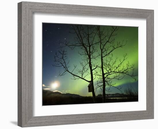 Moonset And the Northern Lights, Yukon, Canada-Stocktrek Images-Framed Photographic Print