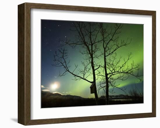 Moonset And the Northern Lights, Yukon, Canada-Stocktrek Images-Framed Photographic Print