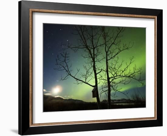 Moonset And the Northern Lights, Yukon, Canada-Stocktrek Images-Framed Photographic Print