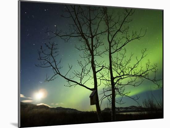 Moonset And the Northern Lights, Yukon, Canada-Stocktrek Images-Mounted Photographic Print