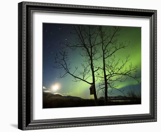 Moonset And the Northern Lights, Yukon, Canada-Stocktrek Images-Framed Photographic Print