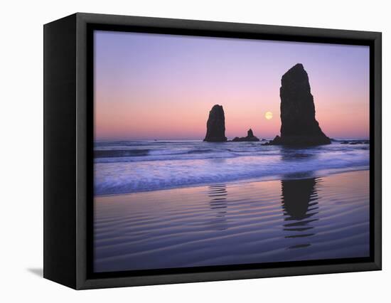 Moonset Between the Needles Rocks in Early Morning Light, Cannon Beach, Oregon, USA-Steve Terrill-Framed Premier Image Canvas