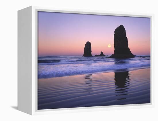 Moonset Between the Needles Rocks in Early Morning Light, Cannon Beach, Oregon, USA-Steve Terrill-Framed Premier Image Canvas