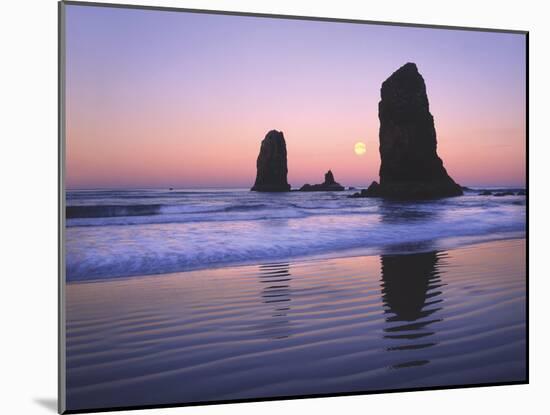 Moonset Between the Needles Rocks in Early Morning Light, Cannon Beach, Oregon, USA-Steve Terrill-Mounted Photographic Print