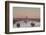 Moonset from the Arkansas River at Dawn, Little Rock, Arkansas, USA-Walter Bibikow-Framed Photographic Print