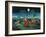 Moonshine Sonata, 2006-Magdolna Ban-Framed Giclee Print