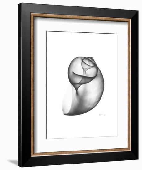 Moonsnail 3-Albert Koetsier-Framed Premium Giclee Print