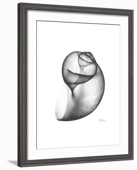 Moonsnail 3-Albert Koetsier-Framed Premium Giclee Print