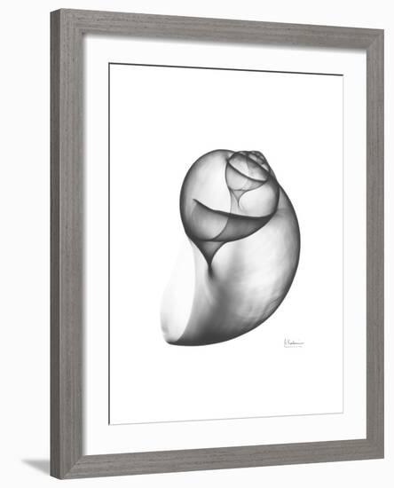 Moonsnail 3-Albert Koetsier-Framed Premium Giclee Print