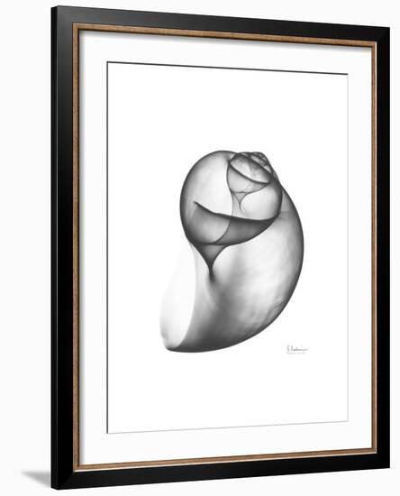 Moonsnail 3-Albert Koetsier-Framed Premium Giclee Print