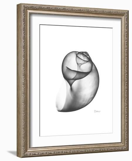 Moonsnail 3-Albert Koetsier-Framed Premium Giclee Print