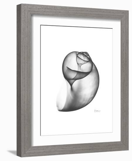 Moonsnail 3-Albert Koetsier-Framed Premium Giclee Print