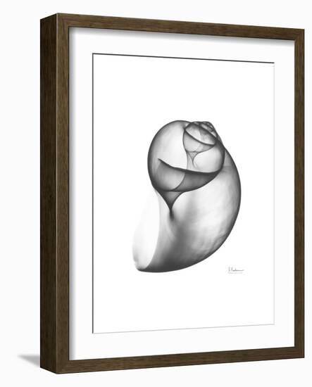 Moonsnail 3-Albert Koetsier-Framed Premium Giclee Print