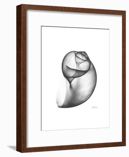 Moonsnail 3-Albert Koetsier-Framed Premium Giclee Print