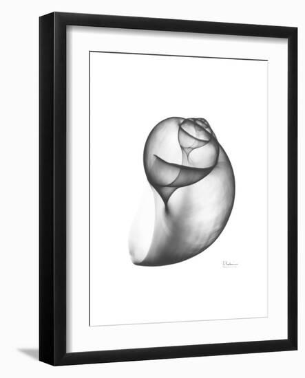 Moonsnail 3-Albert Koetsier-Framed Premium Giclee Print