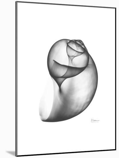 Moonsnail 3-Albert Koetsier-Mounted Premium Giclee Print