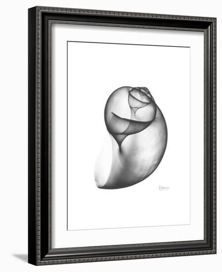 Moonsnail 3-Albert Koetsier-Framed Premium Giclee Print