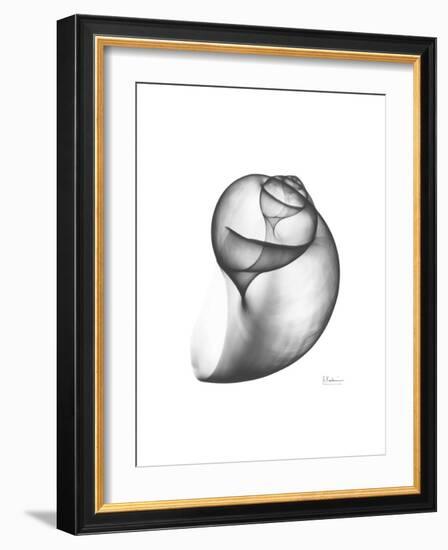 Moonsnail 3-Albert Koetsier-Framed Premium Giclee Print