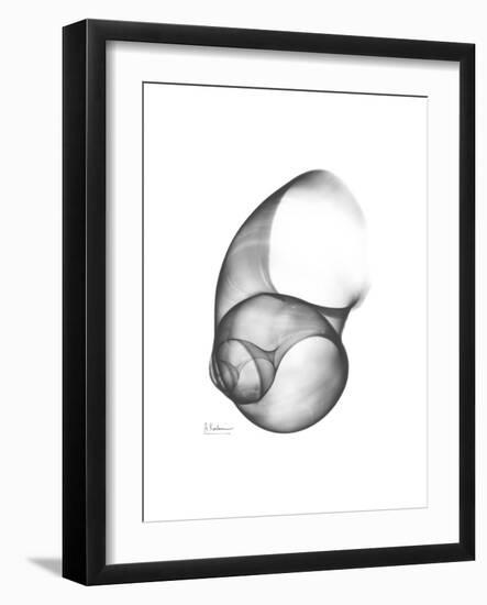 Moonsnail 4-Albert Koetsier-Framed Premium Giclee Print