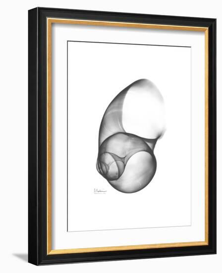 Moonsnail 4-Albert Koetsier-Framed Premium Giclee Print