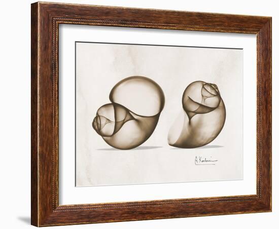 Moonsnail Moments-Albert Koetsier-Framed Art Print