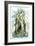 Moonstones the Enchantress-Linda Ravenscroft-Framed Giclee Print