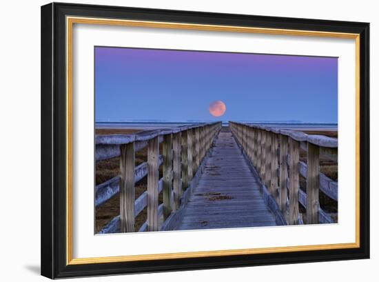 Moonwalk-Michael Blanchette Photography-Framed Giclee Print